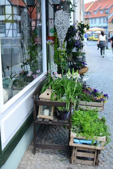 Schoene Ferienwohnung Mit Zwei Schlafzimmern Quedlinburg Buitenkant foto